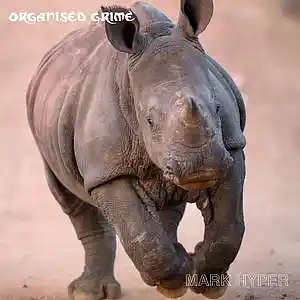 Picture for song 'NOIZIZ!' by artist 'mark hyper'