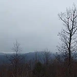 Picture for song 'grey day' by artist 'Shaky Jake'