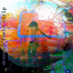 Picture for song 'country girl_drunken field strip' by artist 'Bad Guy Montage'