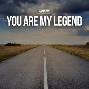 Picture for song '[NAMNAM]_You Are My Legend (EDM)' by artist 'NAMNAM'