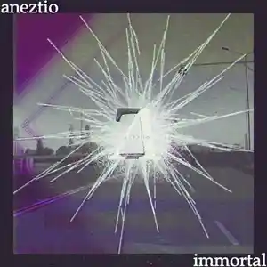Picture for song 'Aneztio prod. - Immortal' by artist 'Aneztio'