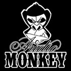 Picture for song 'Audio Monkey - Better Days' by artist 'Audio Monkey'