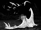 Picture for song 'Broken Angel' by artist 'Differently Thinkin' Entertainment'
