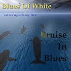 Picture for song 'Blues Of White: Lat. 34.2 degrees N long. 141.8' by artist 'Bruise In Blues'