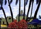Picture for song 'PROVERBS16' by artist 'CHRISTIAM DISCIPLE'