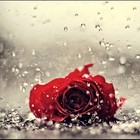 Picture for song 'Sunday' by artist 'CHUCK DIESEL'