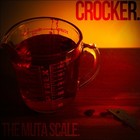 Picture for song 'Stephen's Fort Sumter Sing Along(Prod. By Pico 45)' by artist 'Crocker'