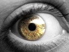 Picture for song 'EyE c U' by artist 'D1 B3ATZ'