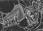 Picture for song 'feel_my_sex' by artist 'DebEspace'