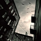 Picture for song 'La idea fortuita' by artist 'Dictates Of Reason'