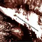 Picture for song 'Michimahuida' by artist 'Dios Incandescente'