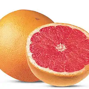 Picture for song 'bittersweet' by artist 'DJ ANARCHY'