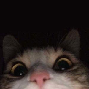 Picture for song 'Bells' by artist 'DJCripow'