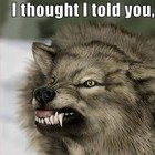 Picture for song 'I Thought I Told You' by artist 'Dreddyon'