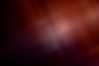 Picture for song 'Bird song.mp3' by artist 'Echoes beat Dejan Vizant Vucicevic'