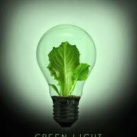 Picture for song 'Green Light' by artist 'iamdre305'