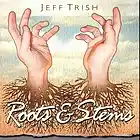 Picture for song 'Out Past All These Trains' by artist 'Jeff Trish'