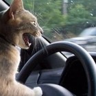 Picture for song 'Get Out of My Way' by artist 'John Cordy'