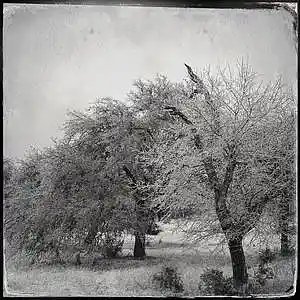 Picture for song 'What a great story' by artist 'BassBoyWonder'