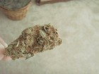 Picture for song 'Sonny G ft. KOOL/ I be smokin.mp3' by artist 'Kool B'