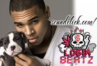 Picture for song '519ALLOFME.mp3' by artist 'LogikBeatz'
