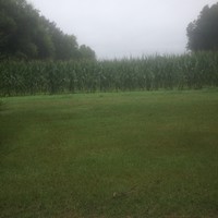 Picture for song 'The Lords Garden' by artist 'Louis Twinn'