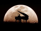 Picture for song 'Moonlight.mp3' by artist 'MAKLIP BEATS'