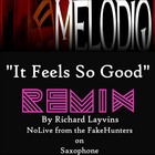 Picture for song 'It Feels So Good (Richard Layvins Remix).mp3' by artist 'MELODIQ'