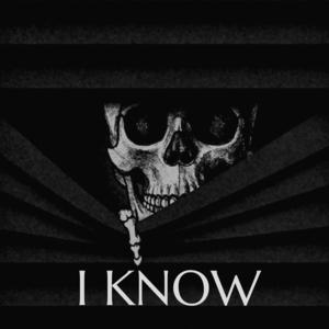 Picture for song 'I KNOW' by artist 'Myke Julian AV'