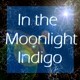 Picture for song 'DGX-630 Reading- The Moonlight Indigo (piano/sing)' by artist 'Numi Who'