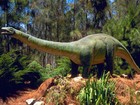 Picture for song 'Apatosaurus Blues' by artist 'Open Heart Trouble'