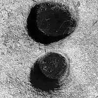 Picture for song 'Outer Lands' by artist 'Pre Polar'