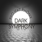 Picture for song 'Dark Simphony' by artist 'Projekt Phoenix'
