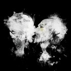 Picture for song 'Phantom Limbs' by artist 'RADIO-LAB'