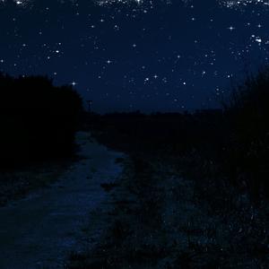 Picture for song 'Midnight Vibe' by artist 'Revoluas'