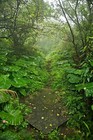 Picture for song 'The Path (Rock Version)' by artist 'Rock On Songs'