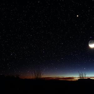 Picture for song 'Beauty Saved The Night' by artist 's9undV1ZNZ K 0 D 3 7'