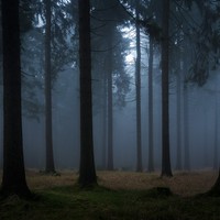 Picture for song 'Lookin Back - Prod By SensAy' by artist 'Sensay'