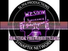 Picture for song 'Analytical Freeversestylemix' by artist 'S L Formulator'