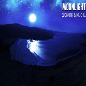 Picture for song 'Moonlight' by artist 'Slownirik'