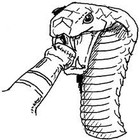 Picture for song 'Well did you' by artist 'soundofben'