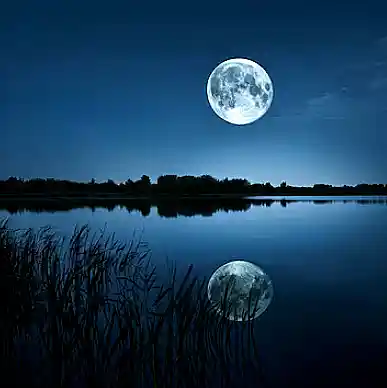 Picture for song 'The Mirrored Moon' by artist 'Tiger Williams'