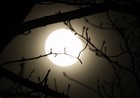 Picture for song 'The Dark' by artist 'Ware2dahizouse'