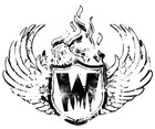 Picture for song 'Ashes On Ice - acoustic live on radio interview' by artist 'Warnipples'