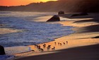 Picture for song 'What Im Living - ($0.99 DemoDL!)' by artist 'XavBeatz'