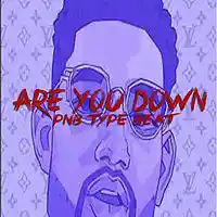 Picture for song 'Are You Down (SOLDDDD)' by artist 'Exclusive DJ Beatz'