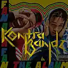 Picture for song 'B!tches N Marijuana' by artist 'Kontrabandz'