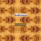 Picture for song 'everywhere' by artist 'ludicrous'