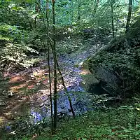 Picture for song 'Marrowbone Creek Summer' by artist 'Michael Fanning'