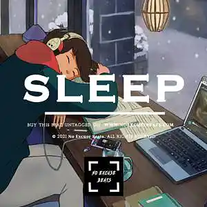 Picture for song 'Lo-fi "Sleep" BUY 2 GET 1 FREE' by artist 'No Excuse Beats'